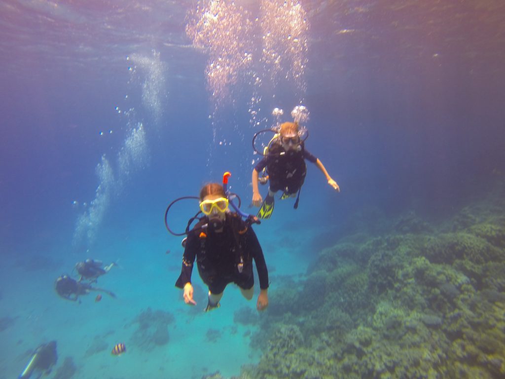 Seagate Hurghada Diving - Red Sea - Egypt - Padi Junior